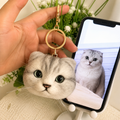 Custom Needle Felted Pet Portrait